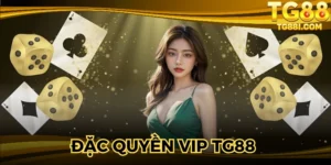 Đặc Quyền VIP TG88 - Tổng Hợp Quyền Lợi Riêng Từ Nhà Cái